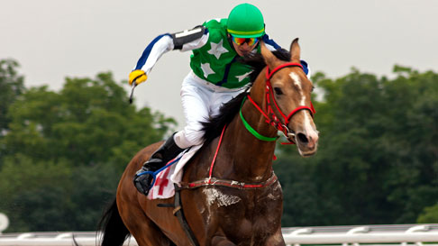 horse racing